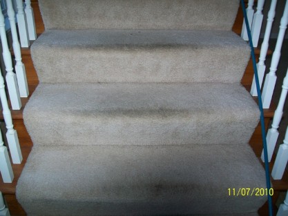 carpet cleaning fort myers