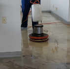 residential carpet cleaning fort myers