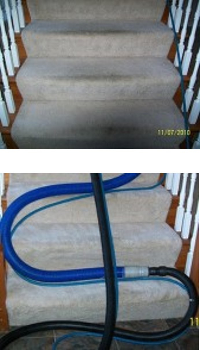 carpet cleaning fort myers