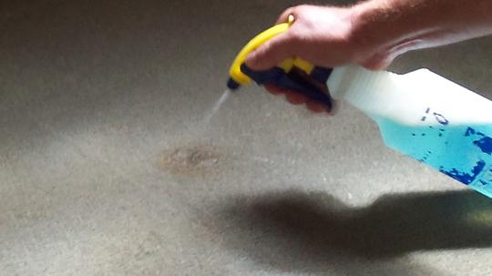 residential carpet cleaning fort myers